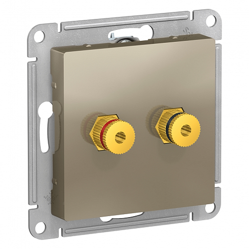 Розетка аудио Atlas - шампань