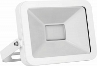 Светодиодный прожектор 12992 Feron