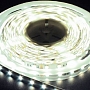 Лента LED Feron 5050 14,4Вт/м - белый Лента LED Feron 5050 14,4Вт/м - белый