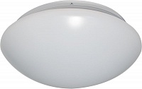Светодиодный светильник 28717 Feron