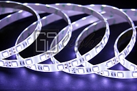Лента GS LED 5050 IP65 14,4Вт/м - холодный белый