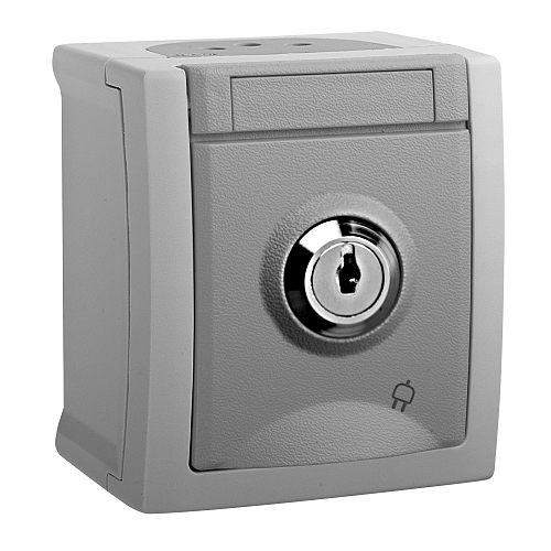 Розетка с крышкой и замком IP-54 - серый Розетка с крышкой и замком IP-54 - серый